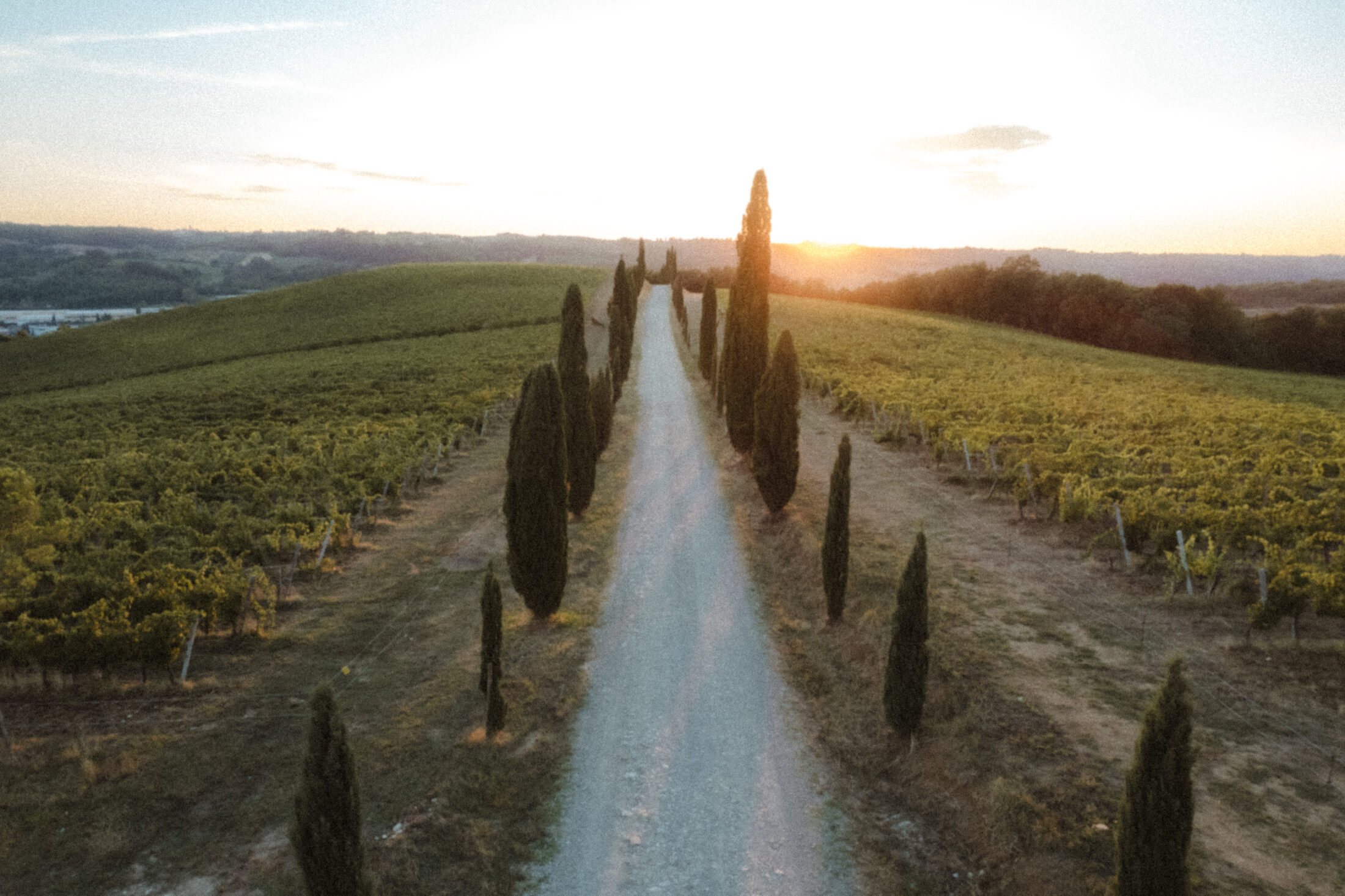 A Wedding in the Rolling Hills of Tuscany