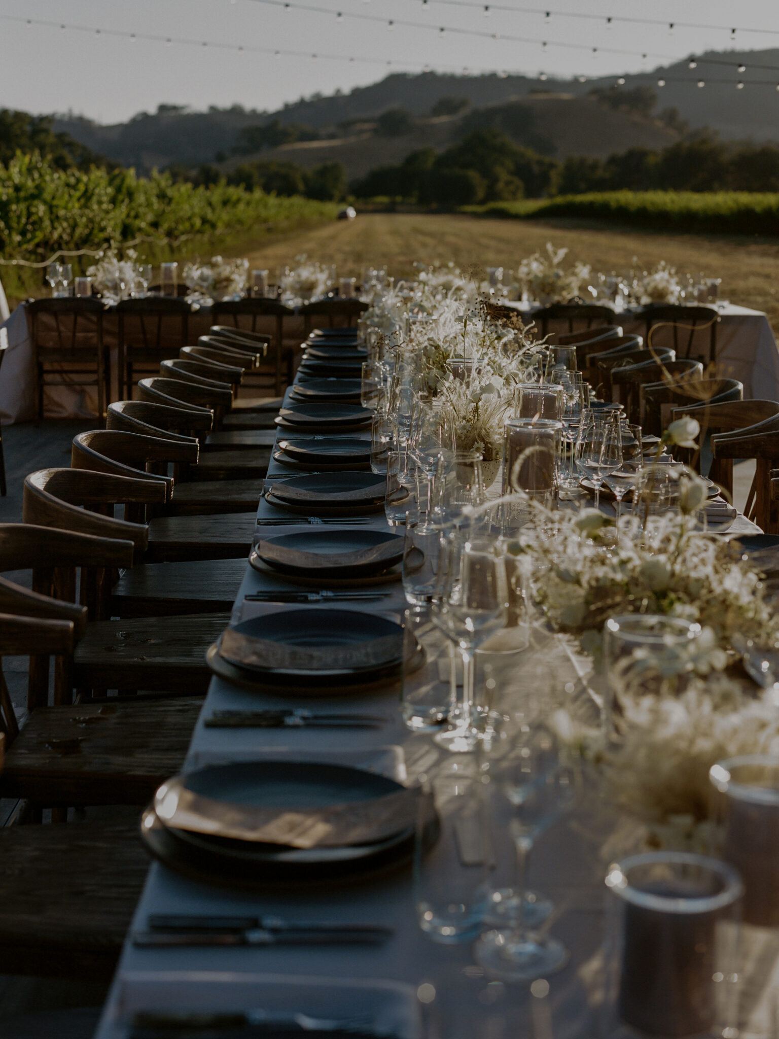 A Wedding On A Private Ranch In California's Napa Valley - The Lane