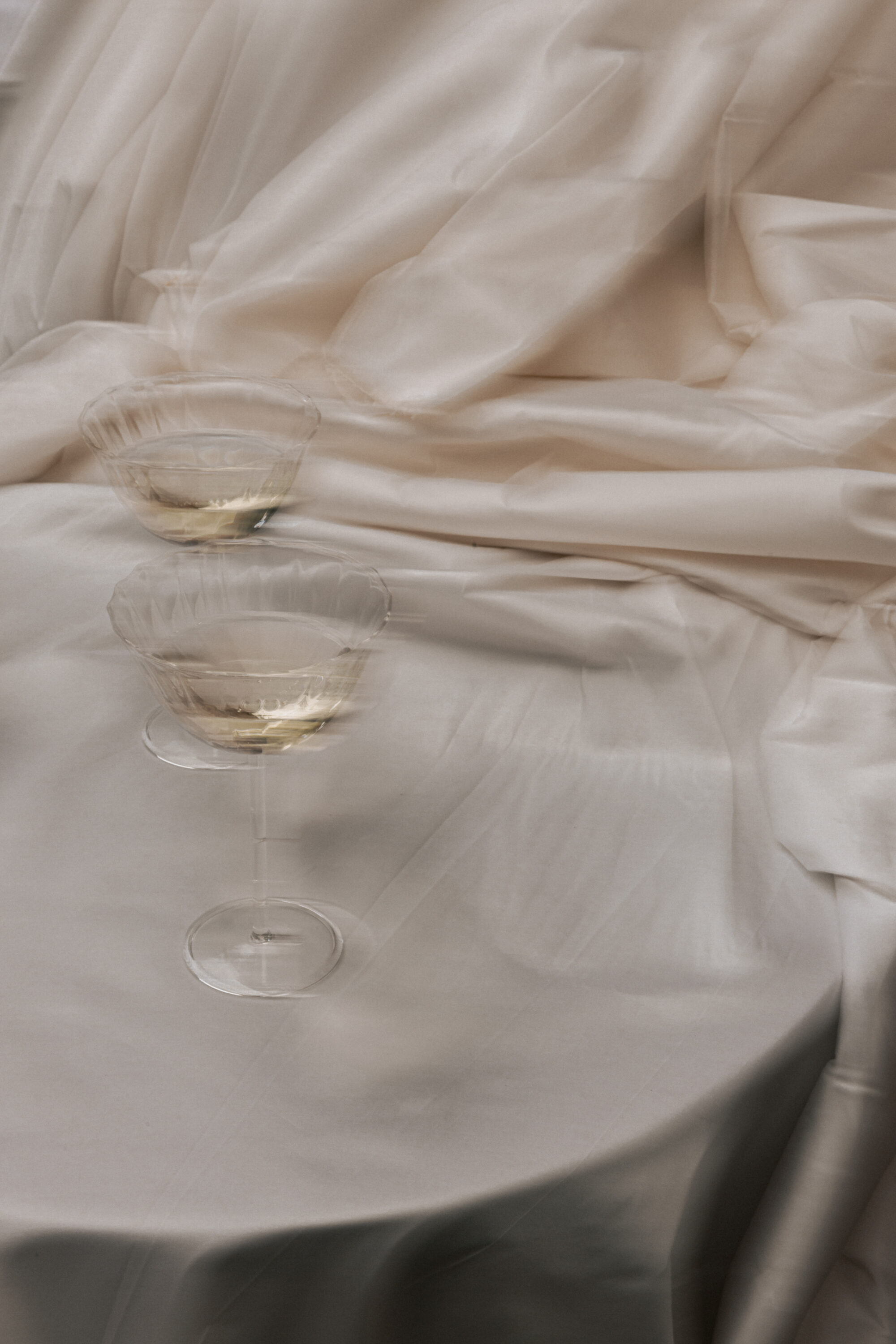 prosecco wine