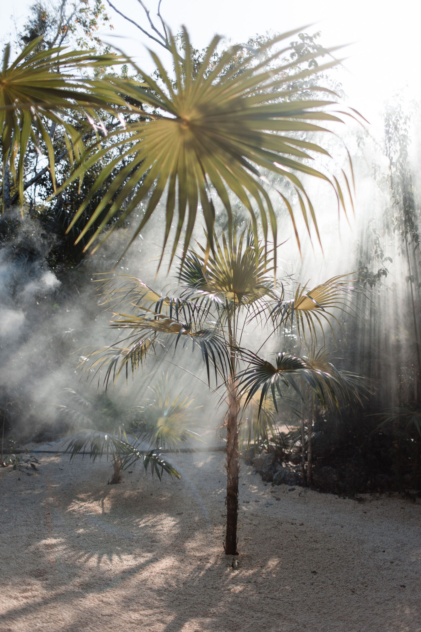 wedding venues in tulum