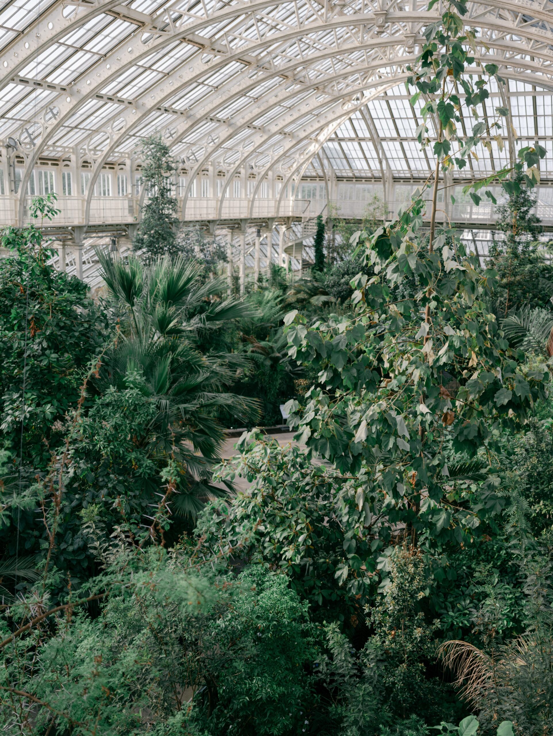 Kew Gardens Wedding London