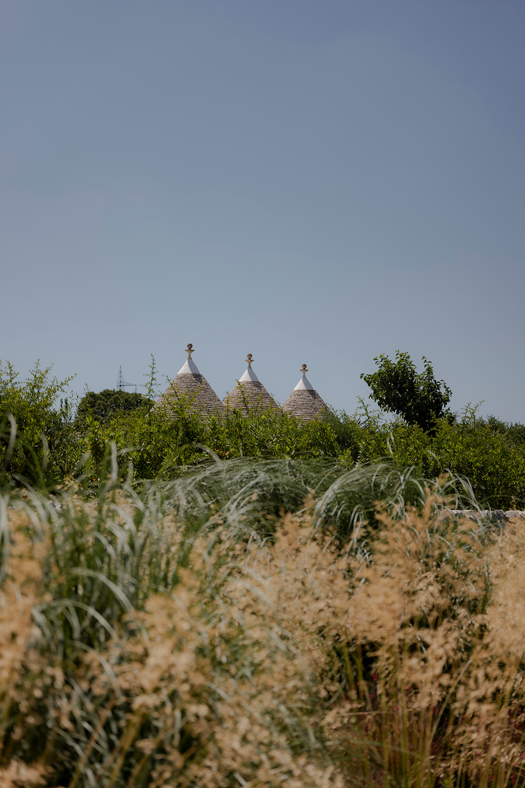 Puglia Wedding Venue