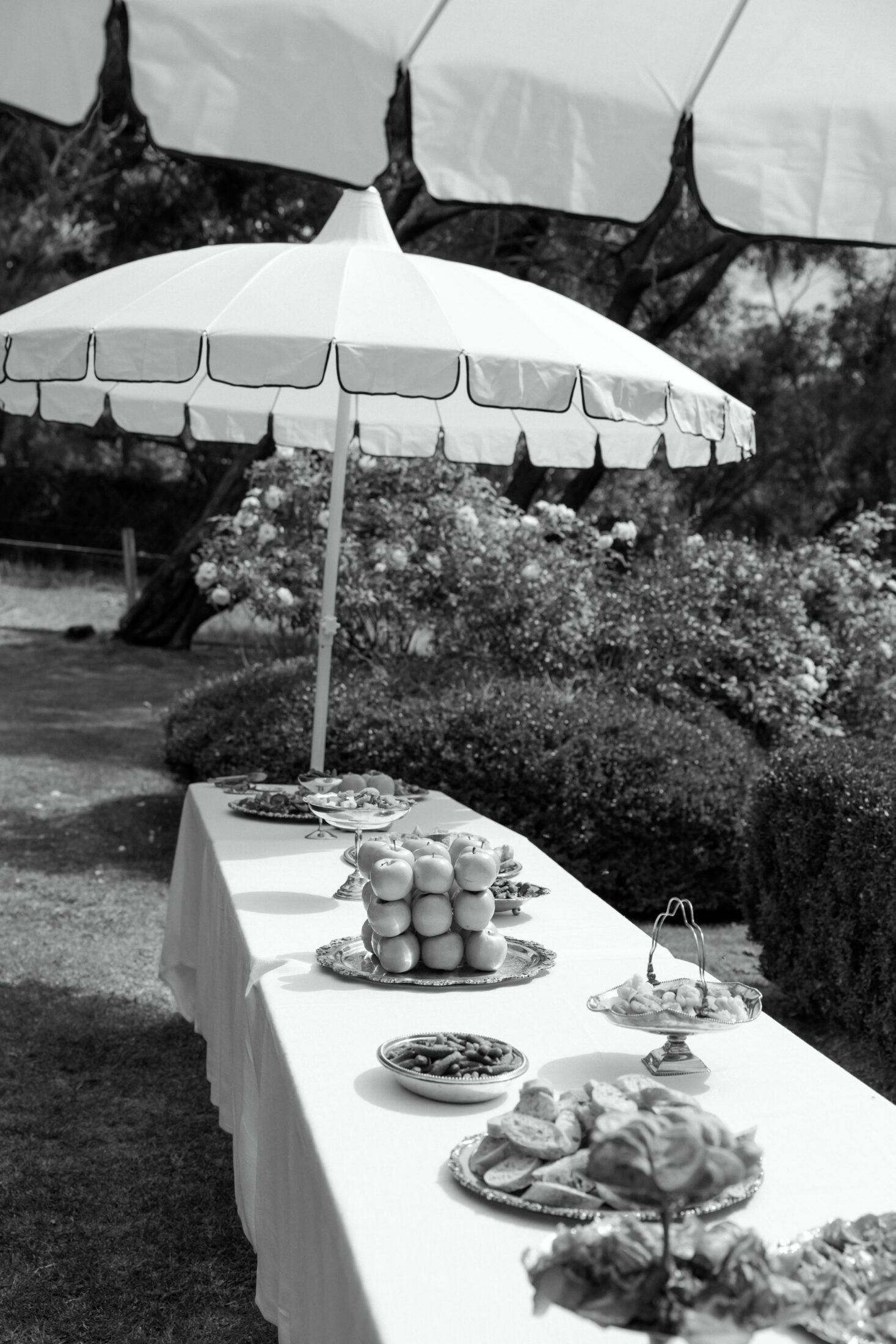 Adelaide Hills Wedding Venue
