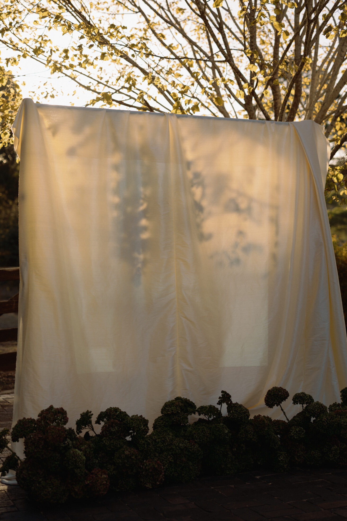 Adelaide Hills Wedding Venue