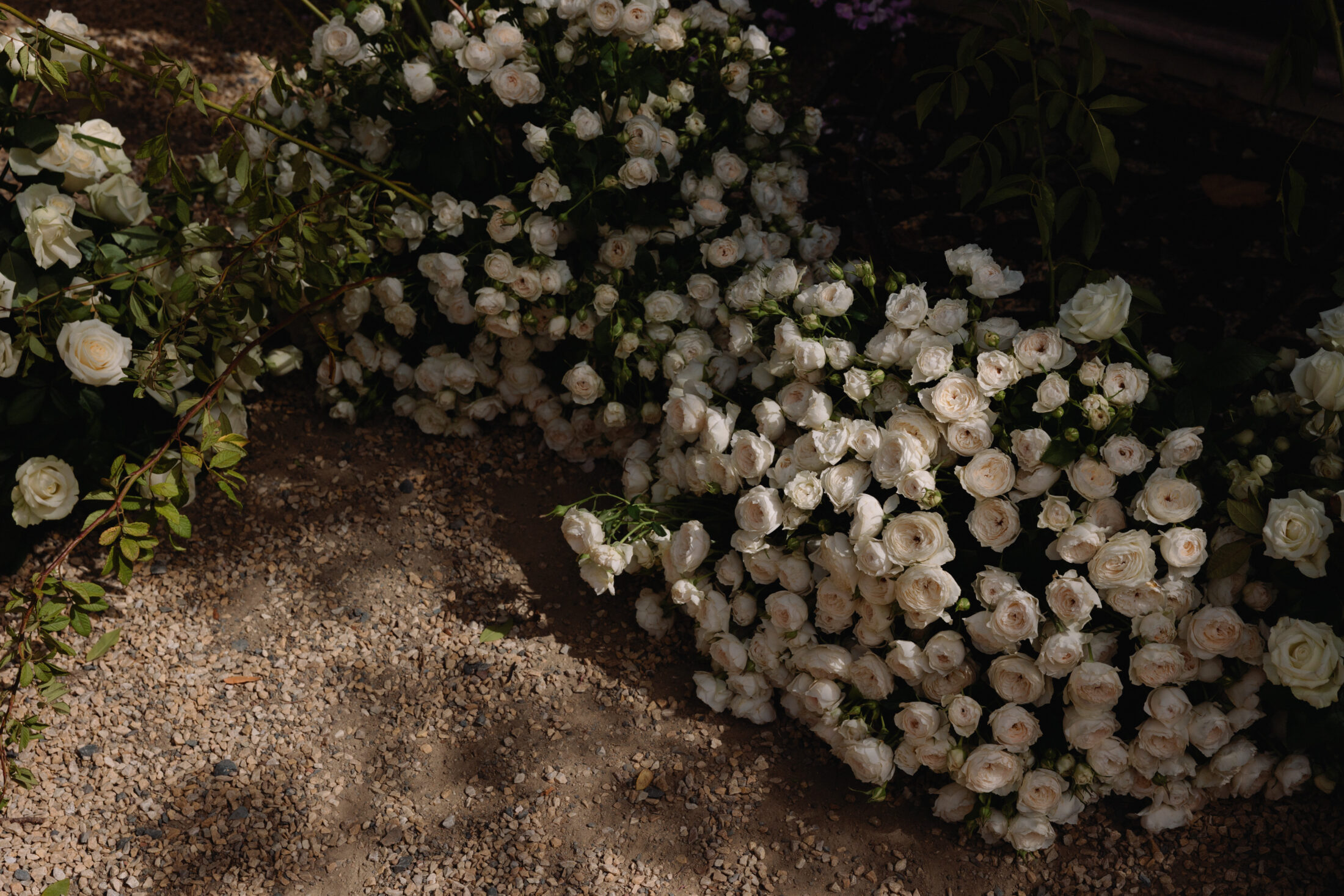 Adelaide Hills Wedding Venue