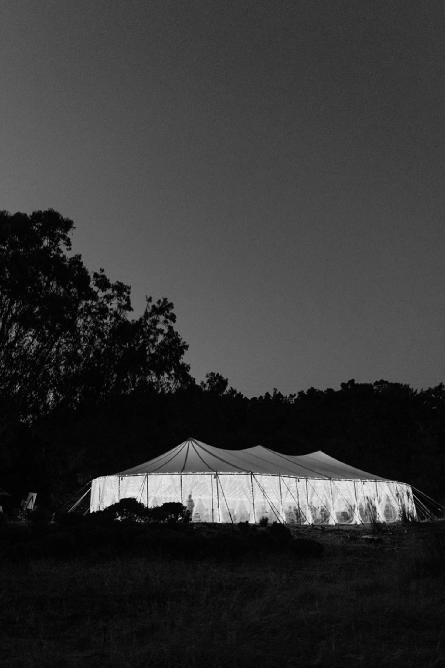 wedding planner