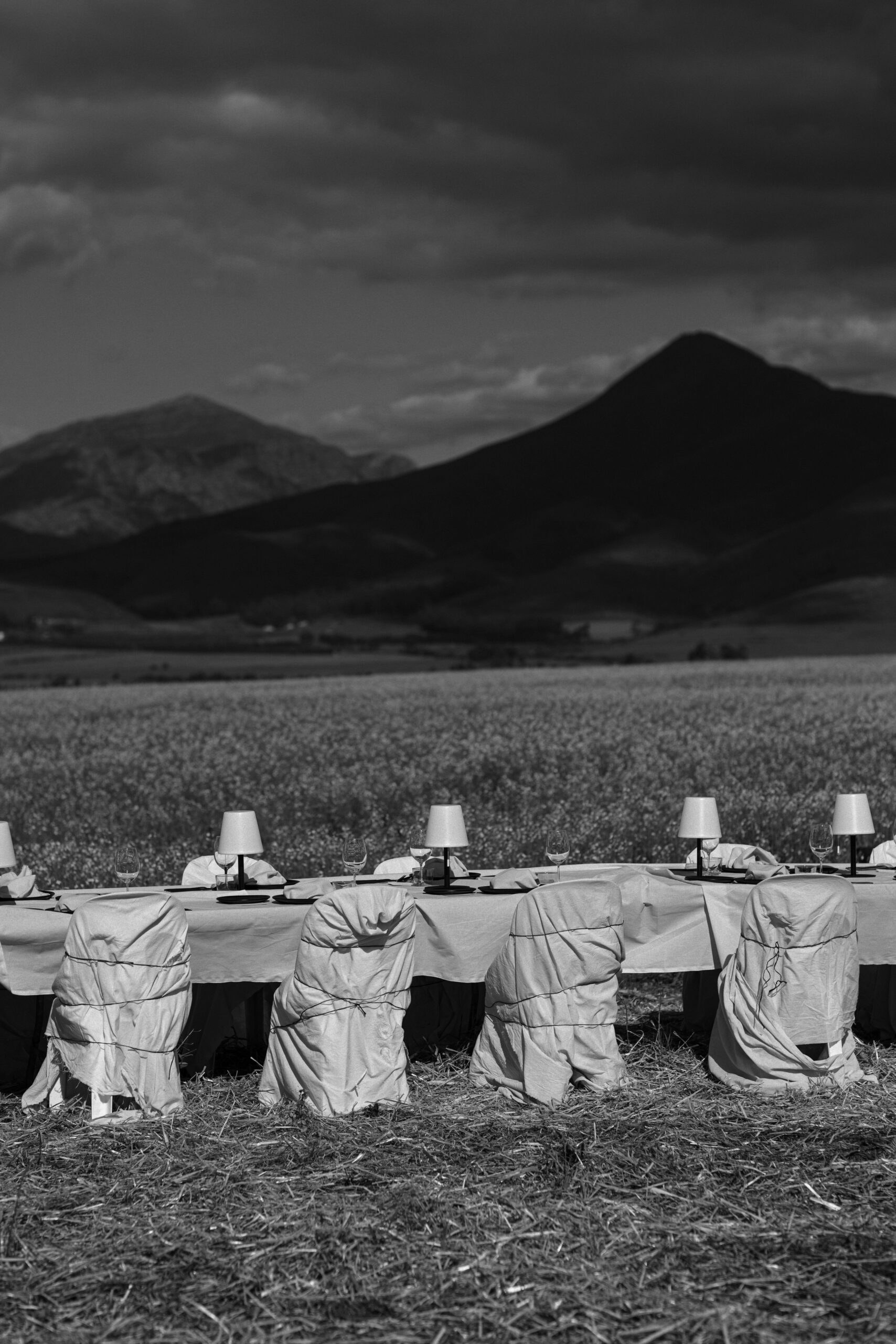 wedding planner