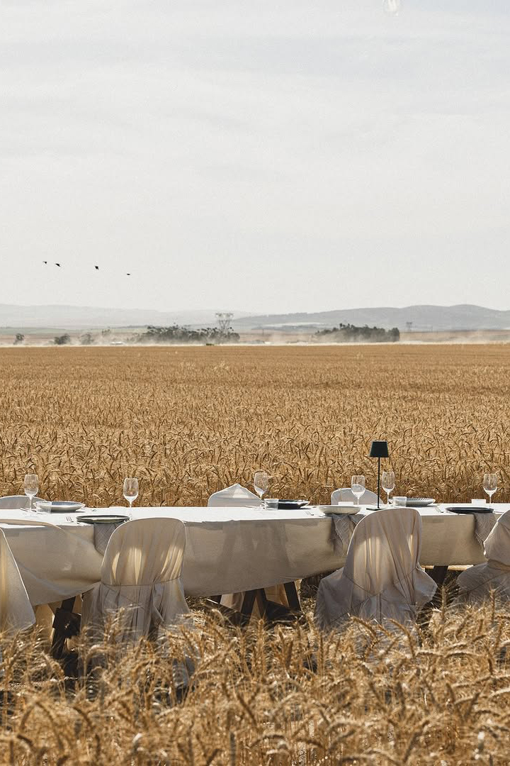 wedding planner