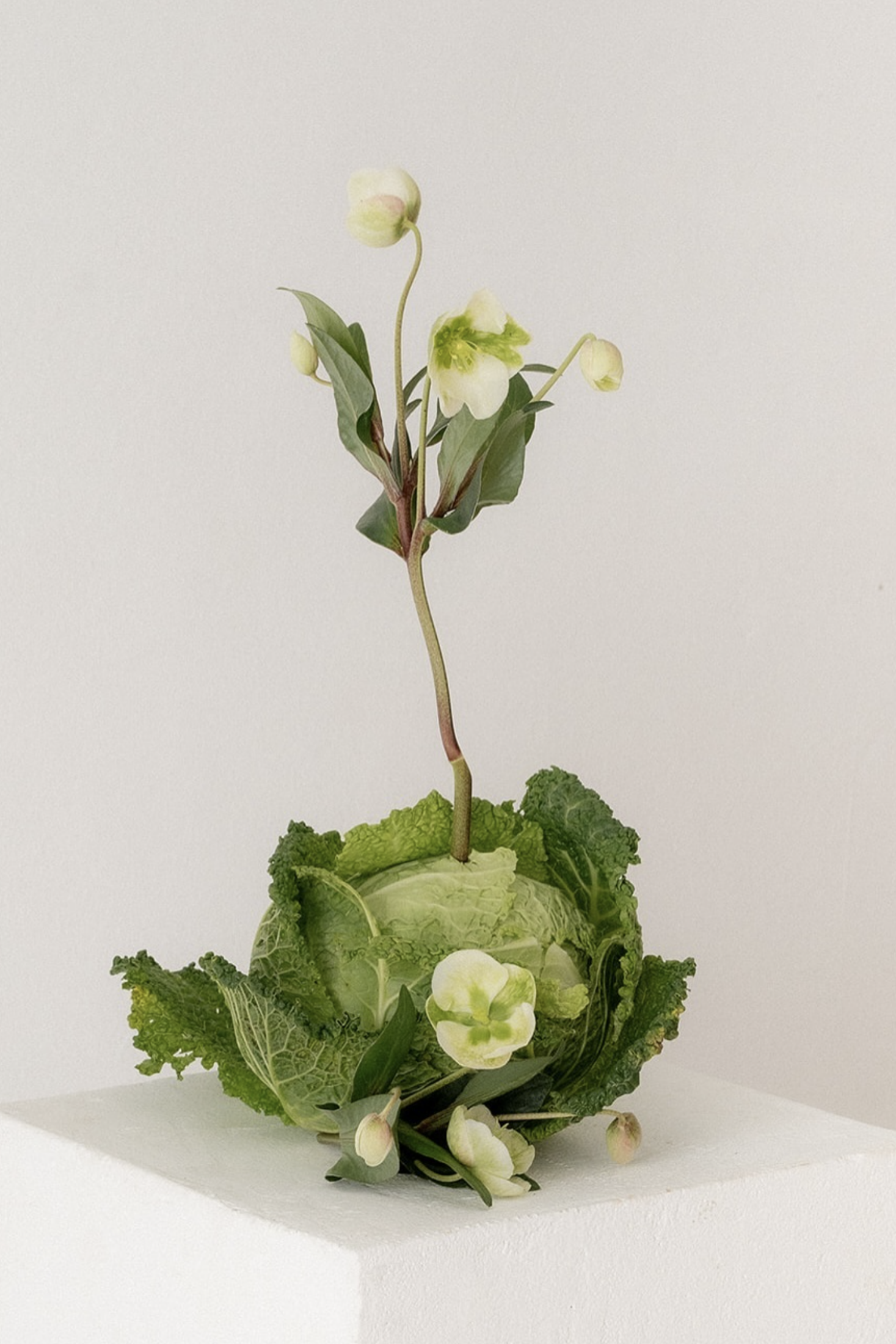 wedding flowers cost