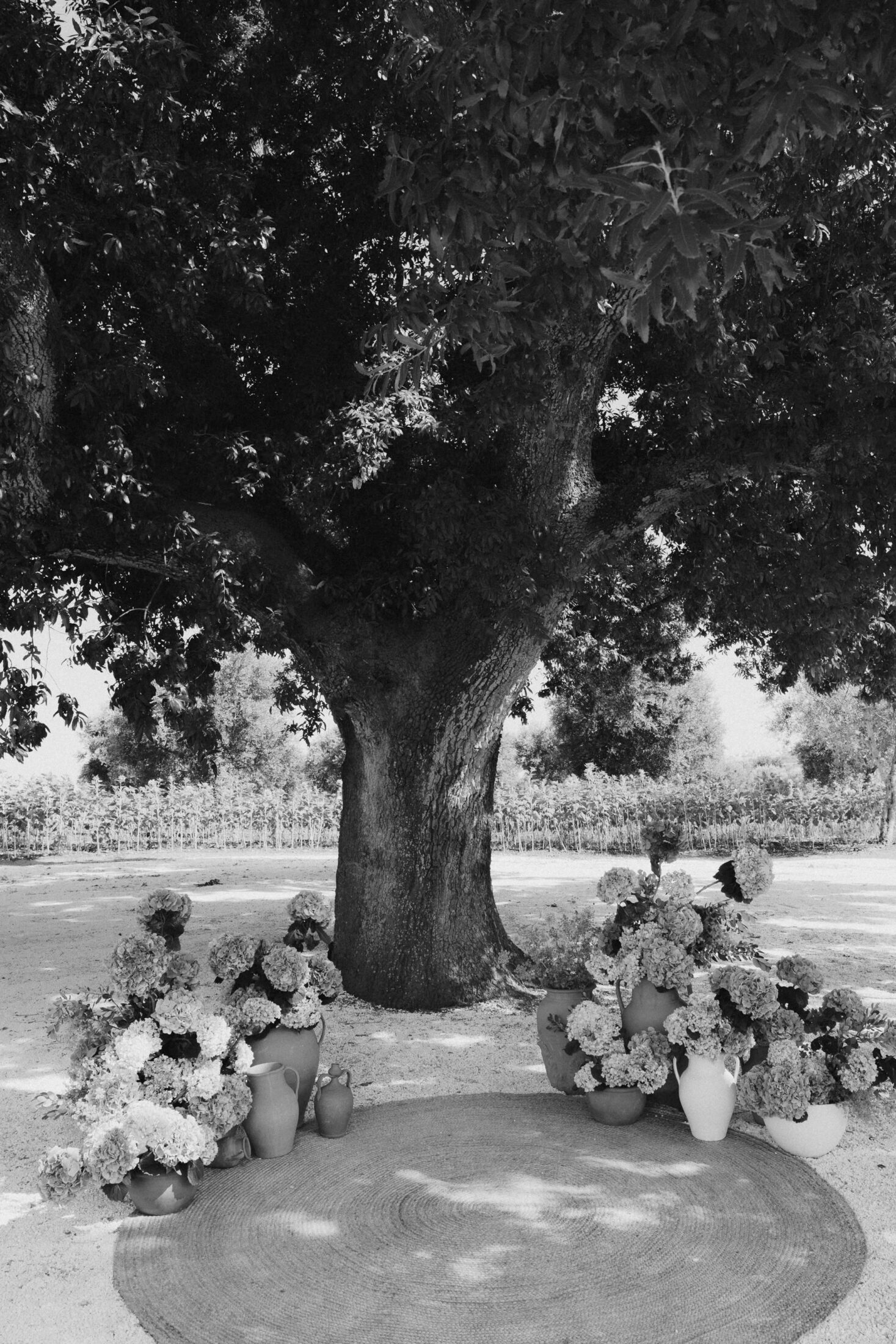 Wedding Venue Puglia