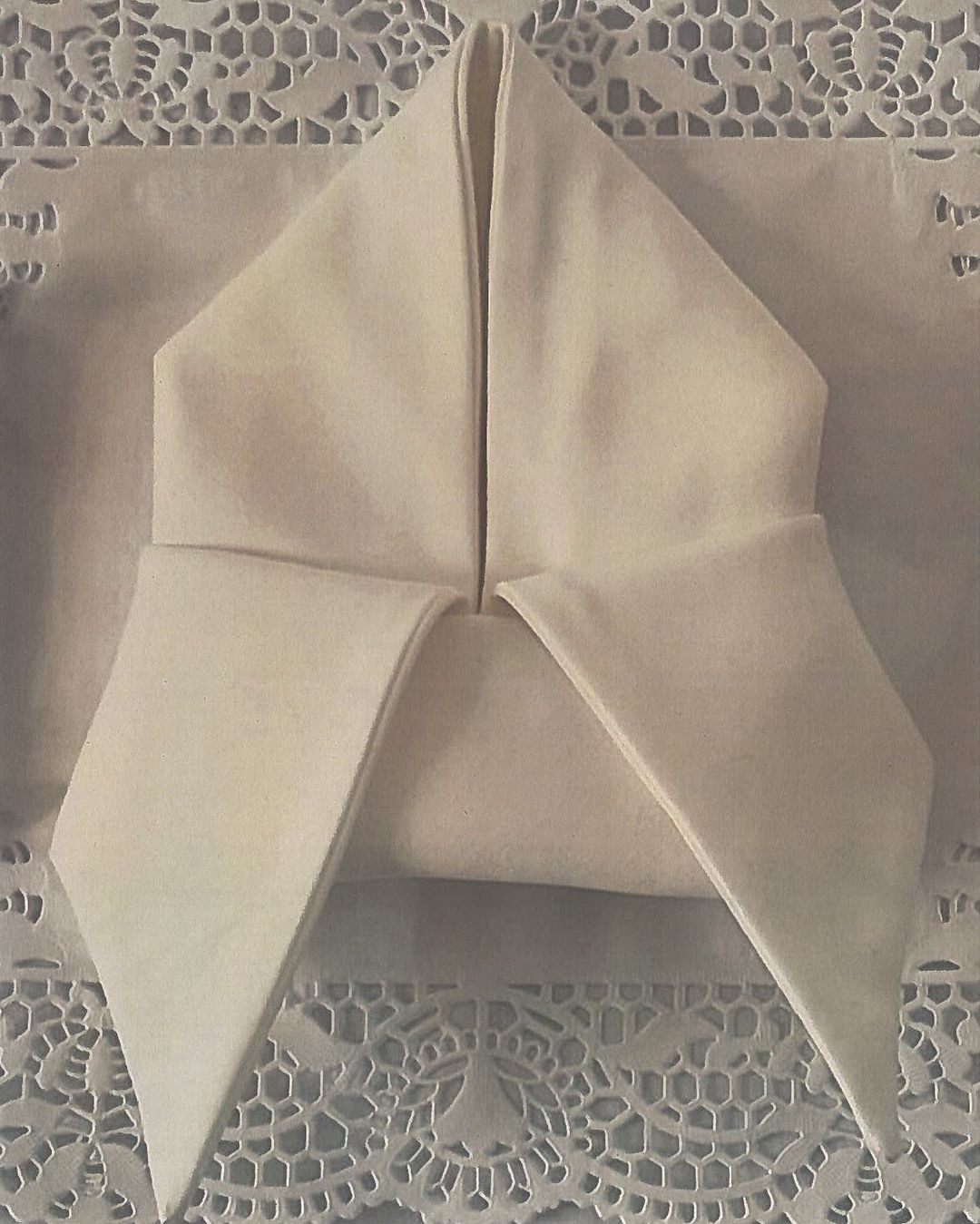 napkin folding​