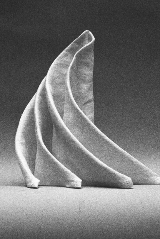 napkin folding​