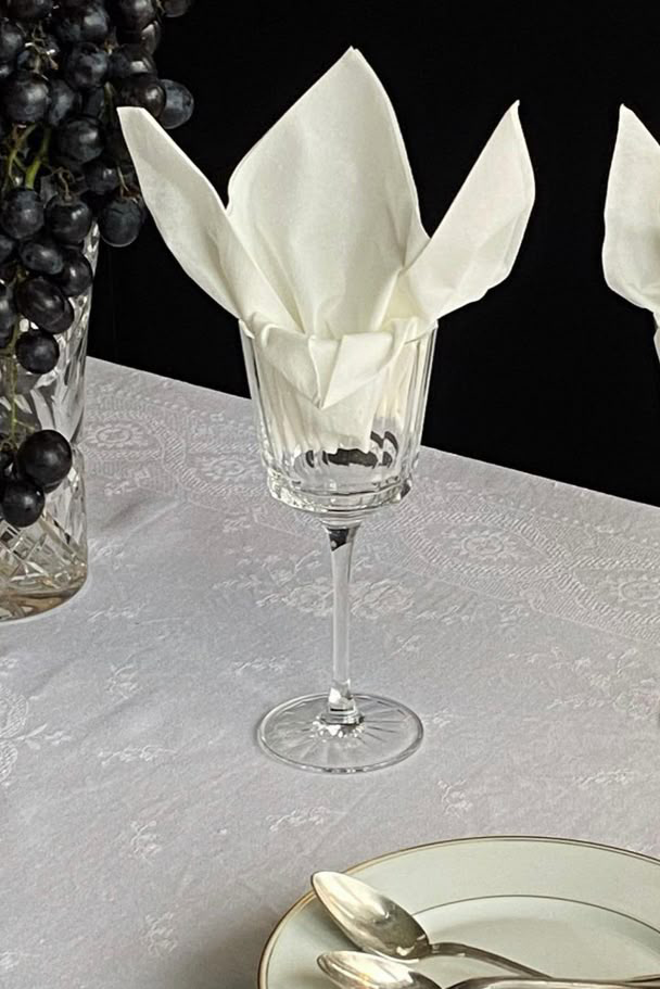 napkin folding​