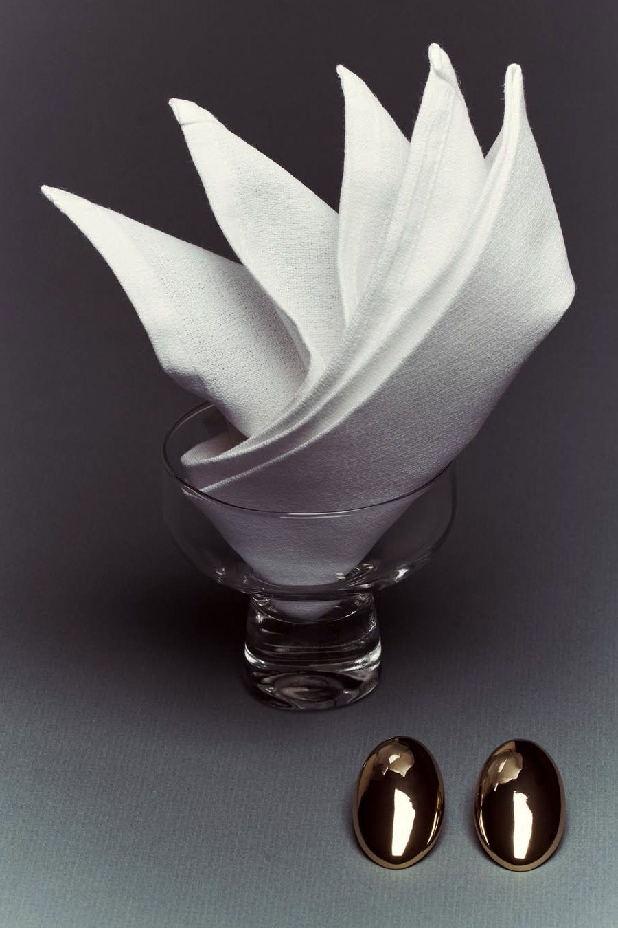 napkin folding​