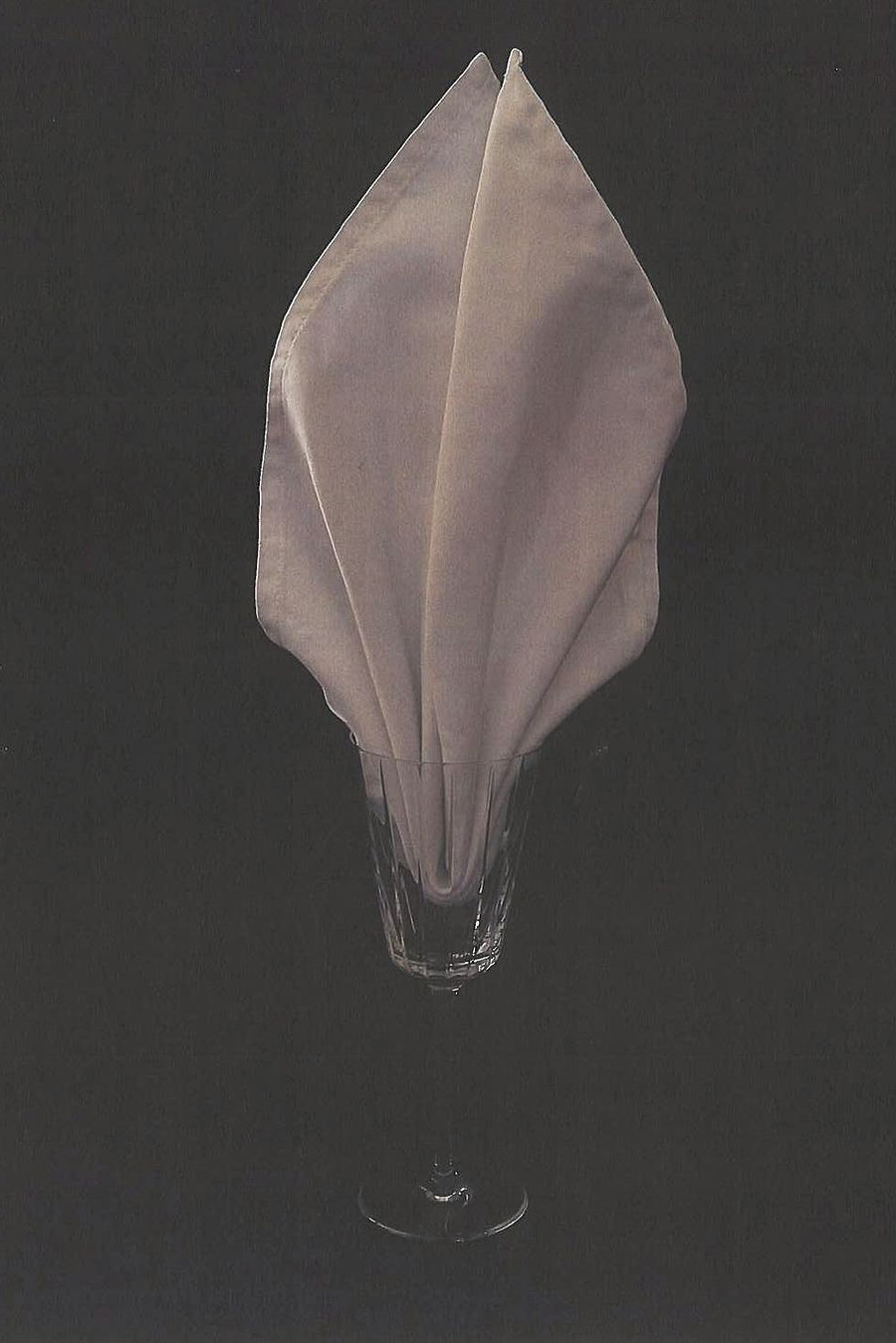 napkin folding​