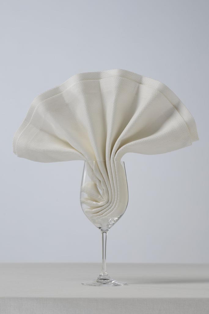 napkin folding​